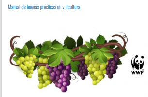 Captura-de-pantalla-2021-09-25-a-las-17.23.11-pdnmzlgfwqzw0wpohlzwefc6vljo4pxwlhcih3l7gg