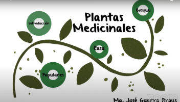 Captura de pantalla 2021-10-28 a la(s) 13.20.56