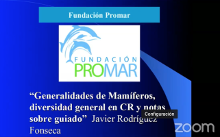 Captura de pantalla 2021-10-28 a la(s) 13.49.05